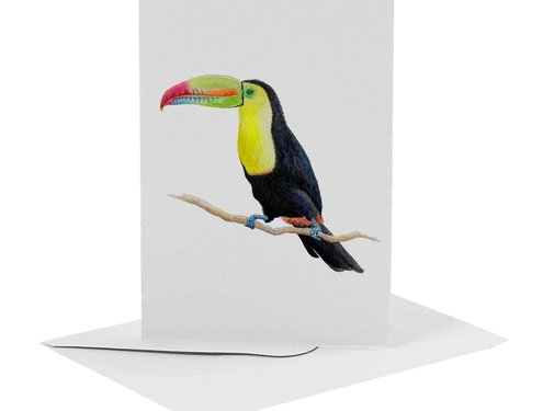 World of Mies Wenskaart Toekan