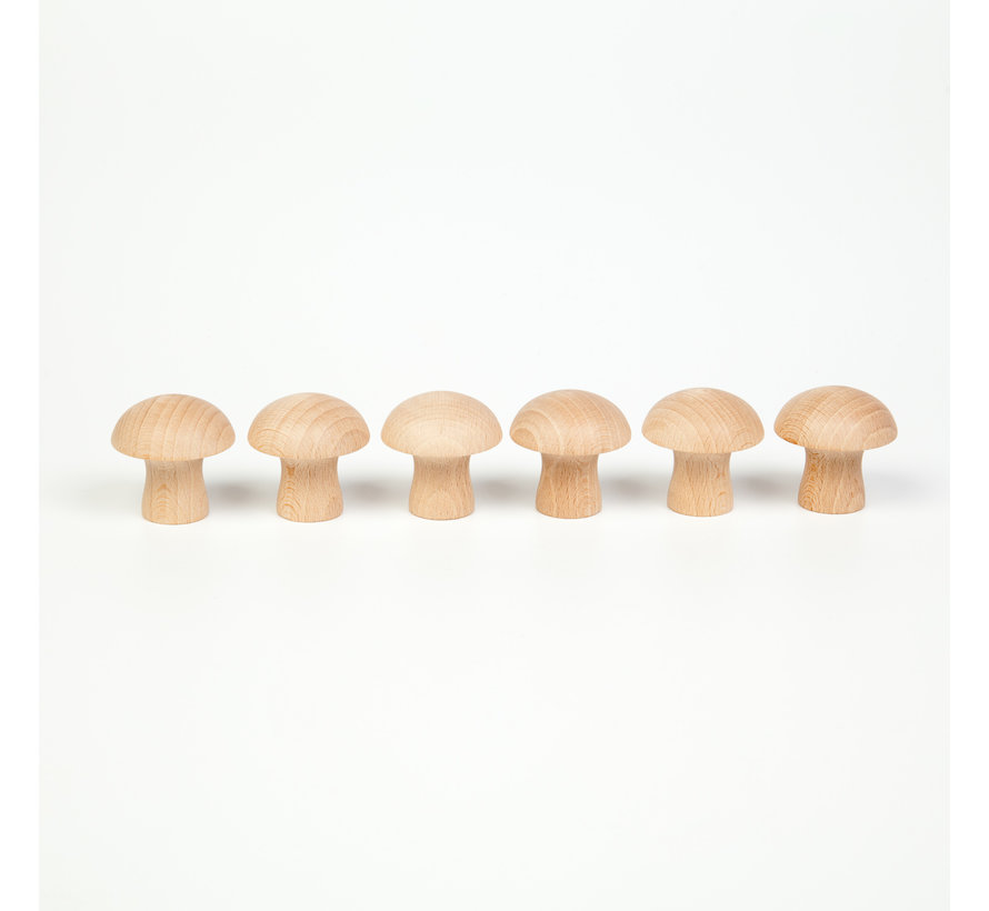 6 Mushrooms (Divisible Pack) 16-153