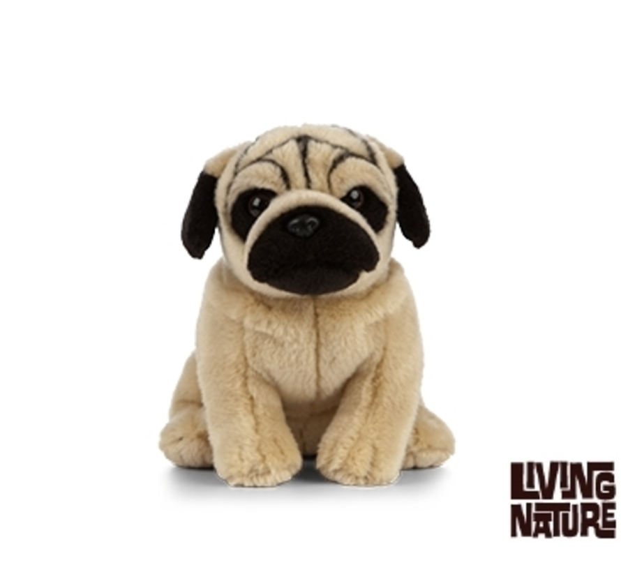 Stuffed Animal Pug