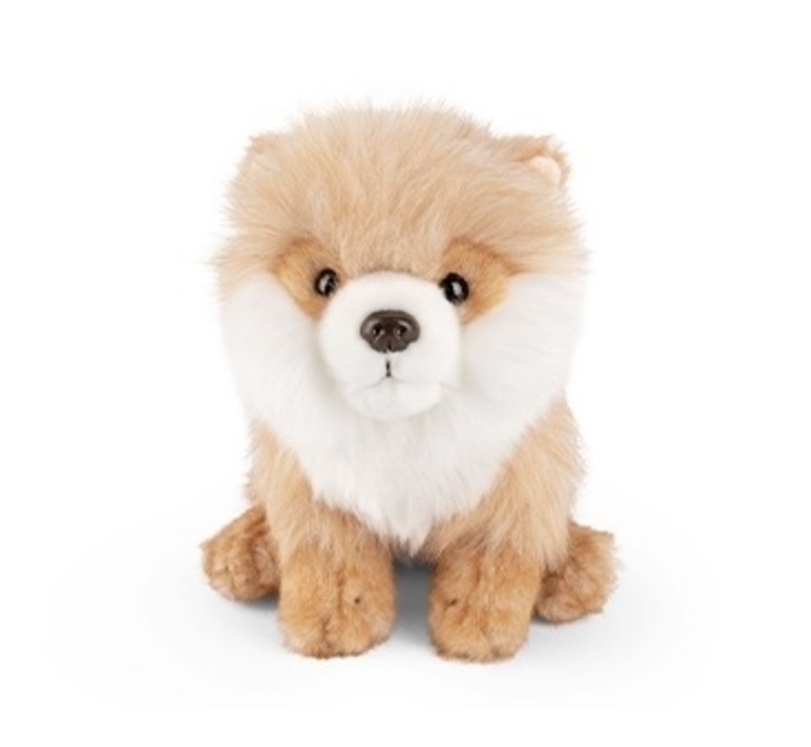 Stuffed Animal Sitting Pomeranian