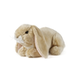 Lop Eared Rabbit Brown