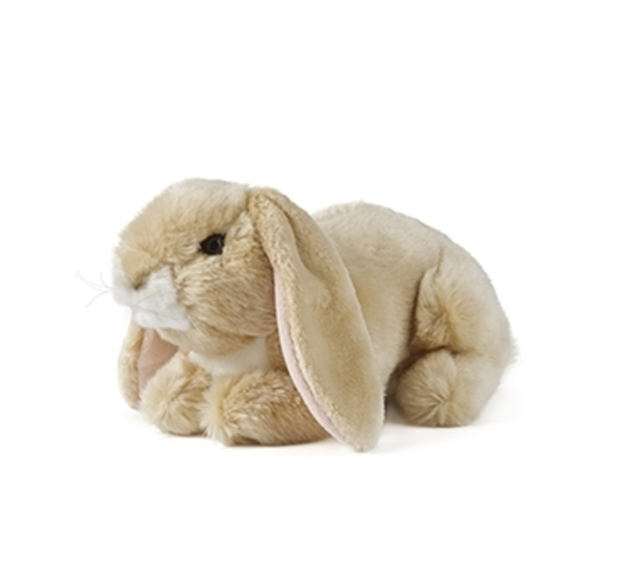 Lop Eared Rabbit Brown