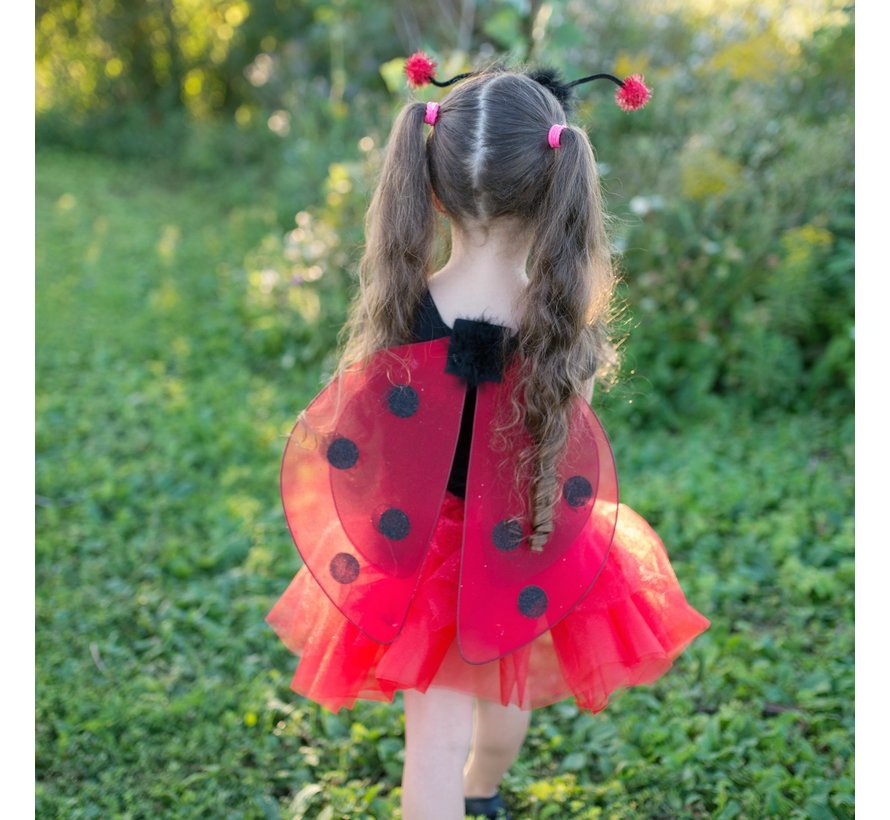 Glitter Ladybug set Size 4-6