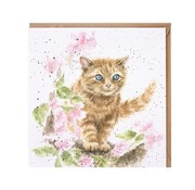 Wrendale Designs Wenskaart Marmalade Cat