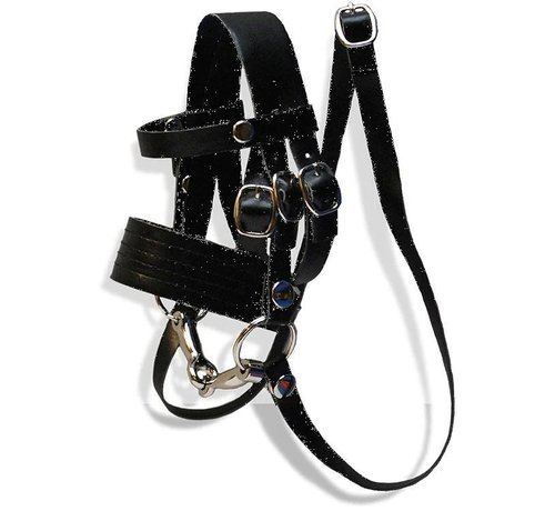 crafty ponies Bridle