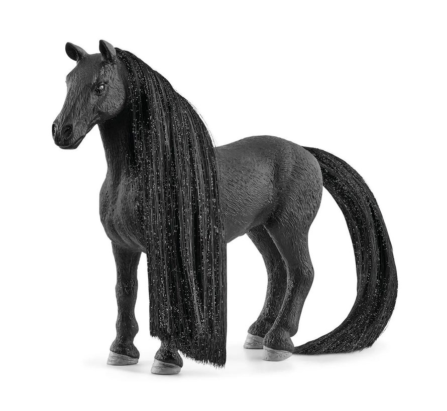 Beauty Horse Criollo Definitivo Merrie