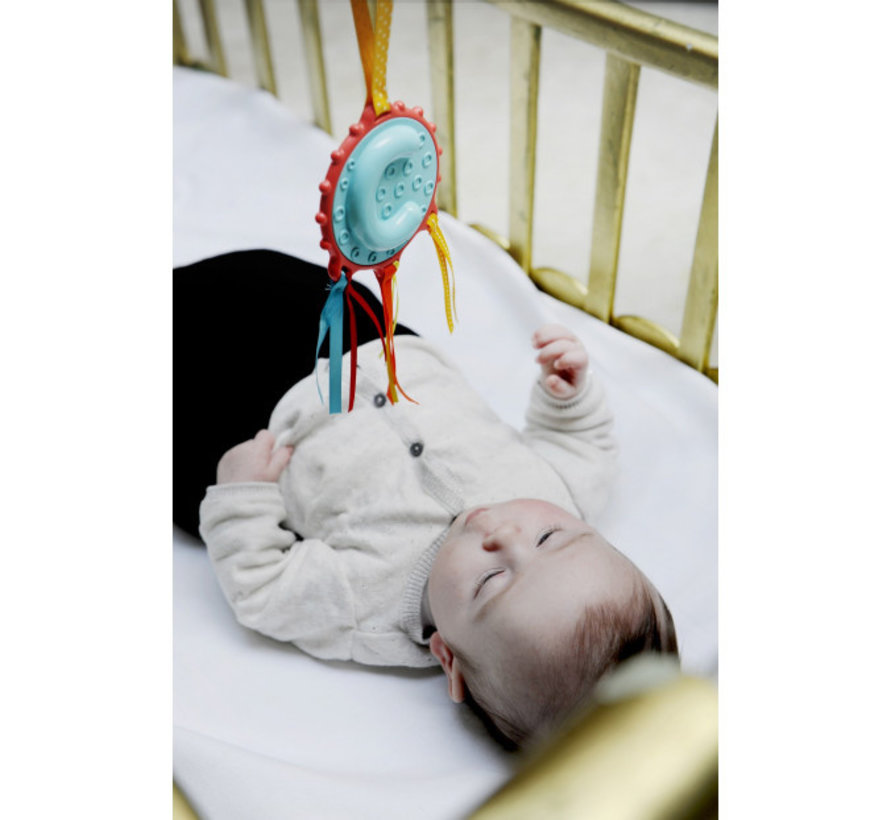 Activity Teether Rattle