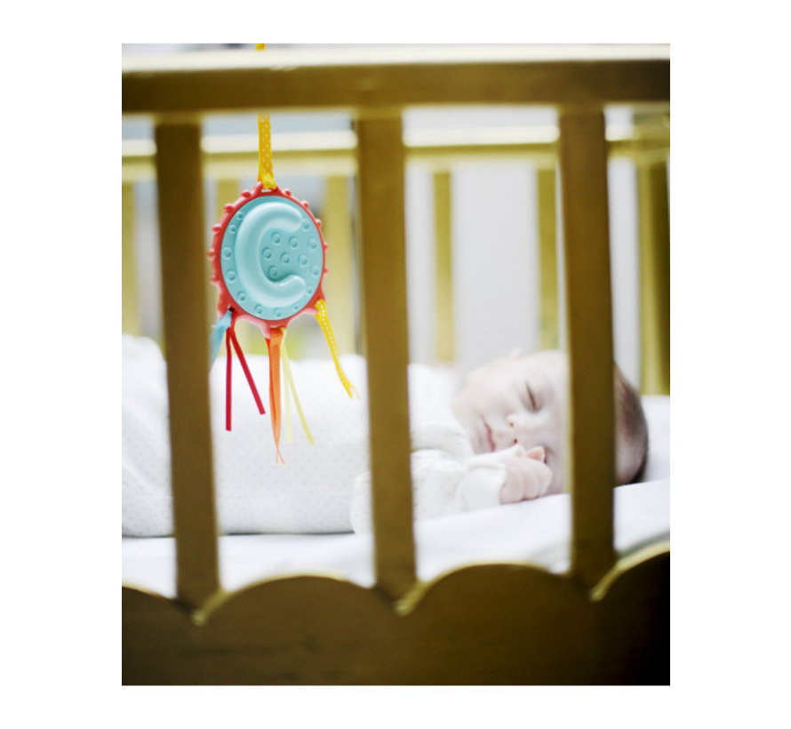 Activity Teether Rattle