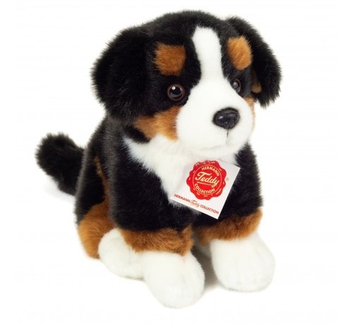 Hermann Teddy Knuffel Berner Sennenhond Zittend 21cm