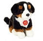 Knuffel Berner Sennenhond Zittend 21cm