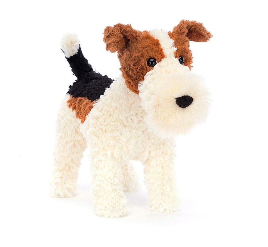 Hector Fox Terrier