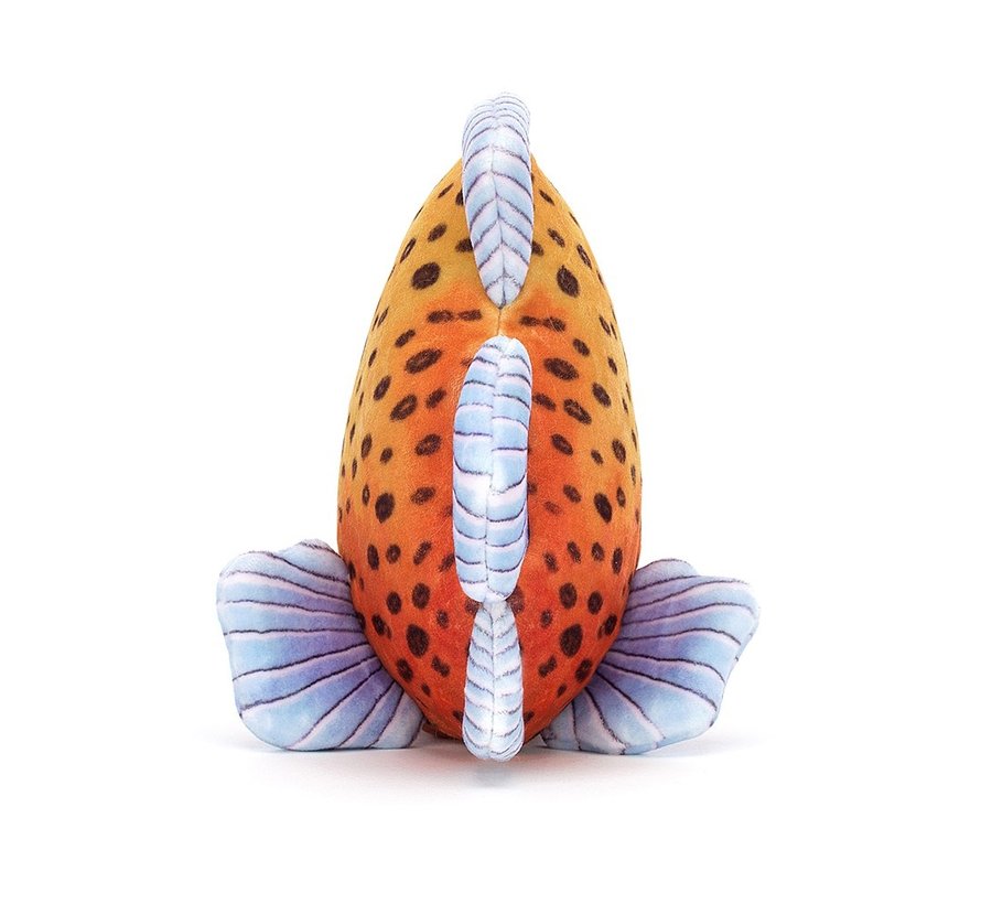 Fishiful Orange