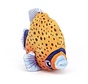 Fishiful Orange