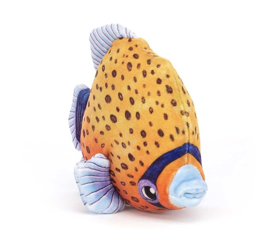 Fishiful Orange