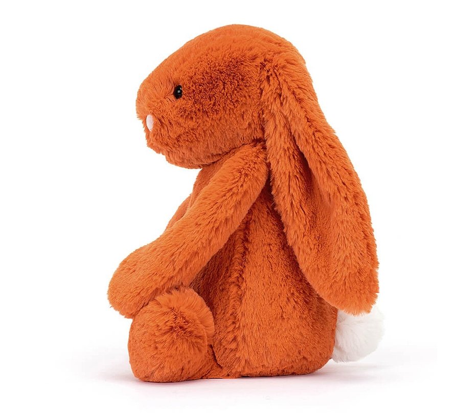 I am Small Bashful Tangerine Bunny