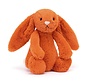 I am Small Bashful Tangerine Bunny