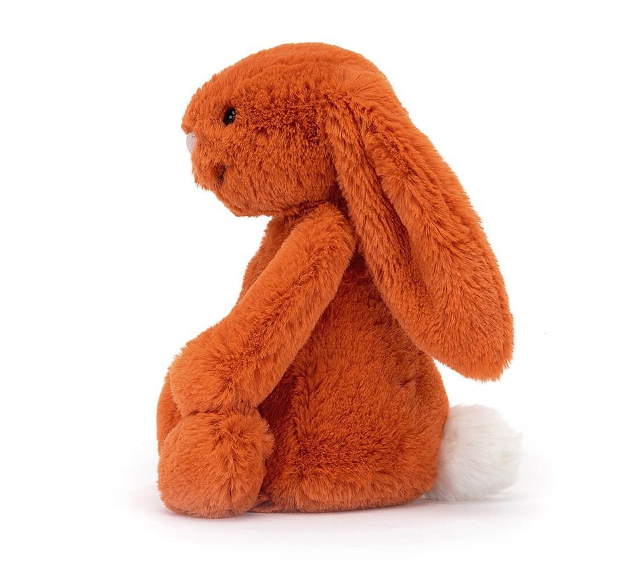 I am Small Bashful Tangerine Bunny