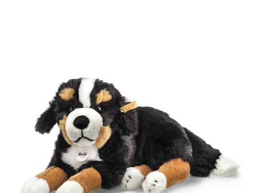 Steiff Knuffel Senni Berner Sennenhond Liggend 45cm