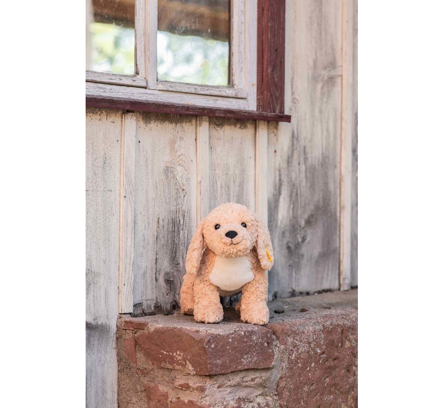 Berno Goldendoodle 36 Beige