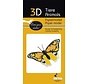 3D Paper Model Colorful Butterfly