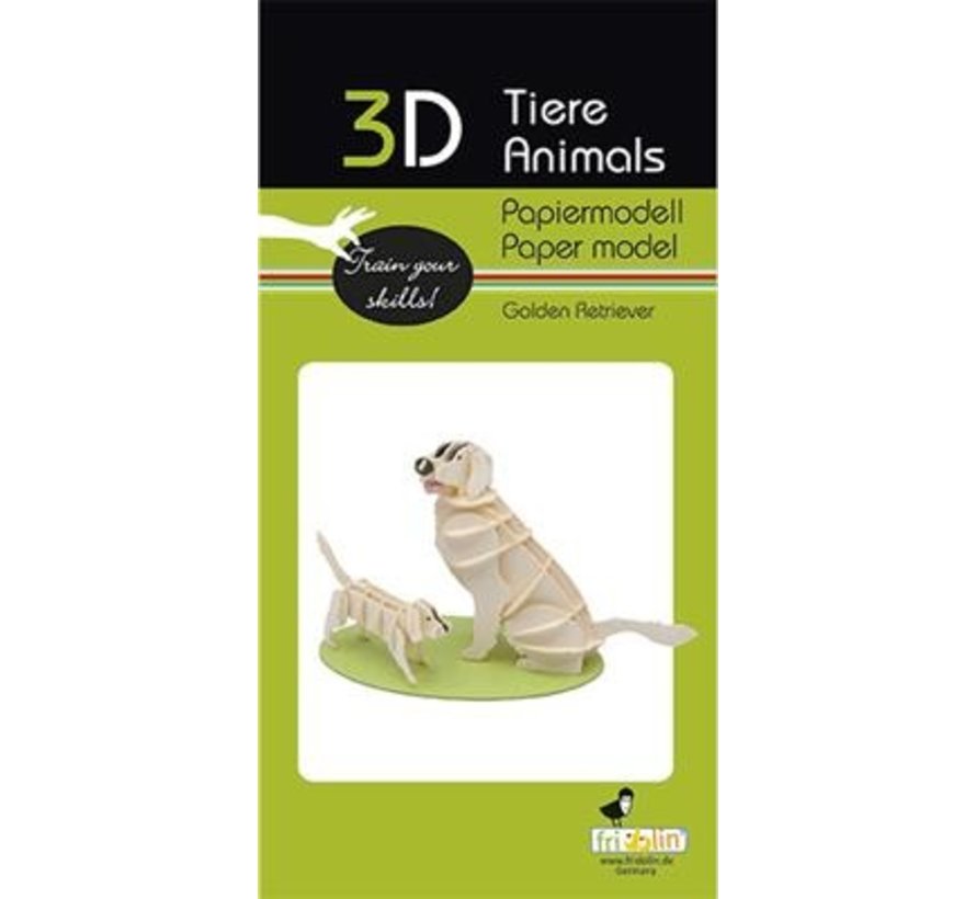 3D Papiermodel Hond Golden Retriever