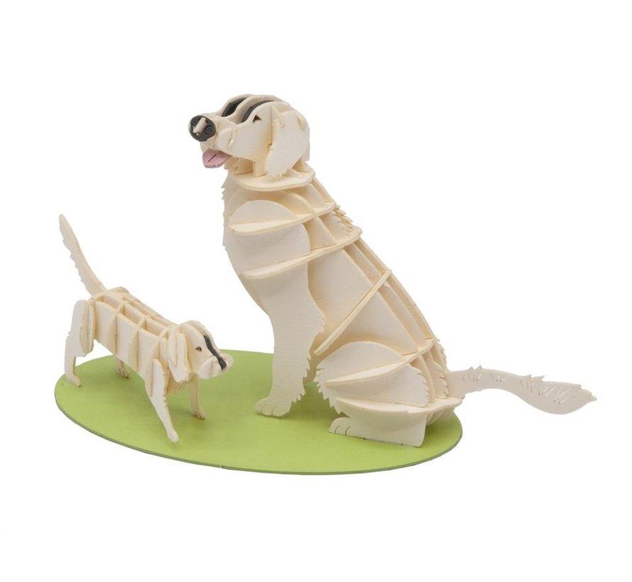 3D Papiermodel Hond Golden Retriever