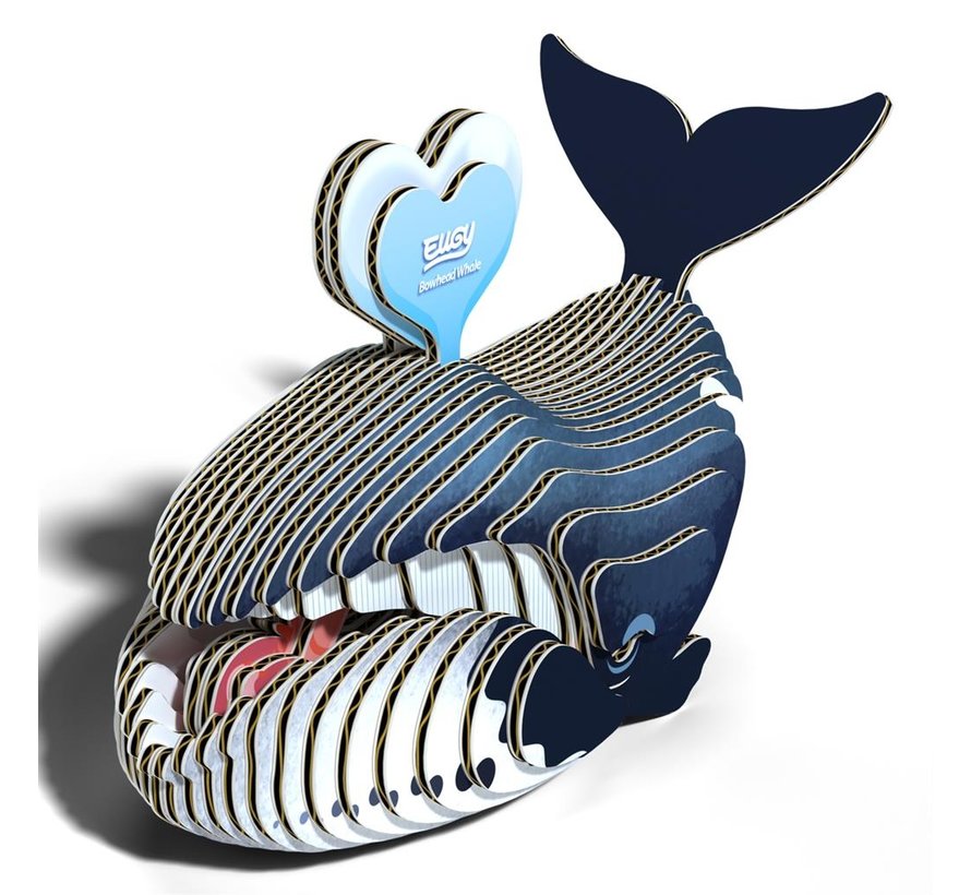 3D Carboard Model Bowhead Whale