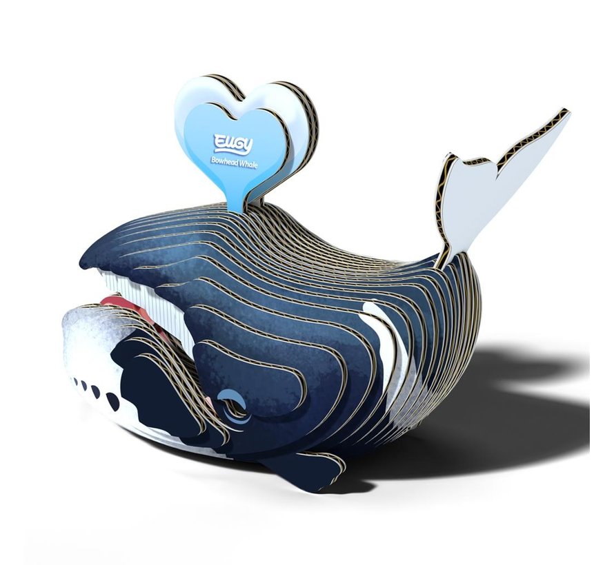 3D Carboard Model Bowhead Whale