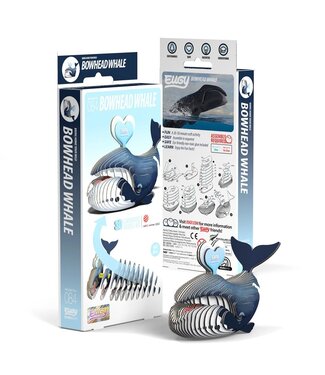 3D Bouwpakket Groenlandse Walvis