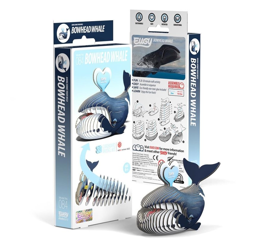 3D Carboard Model Bowhead Whale