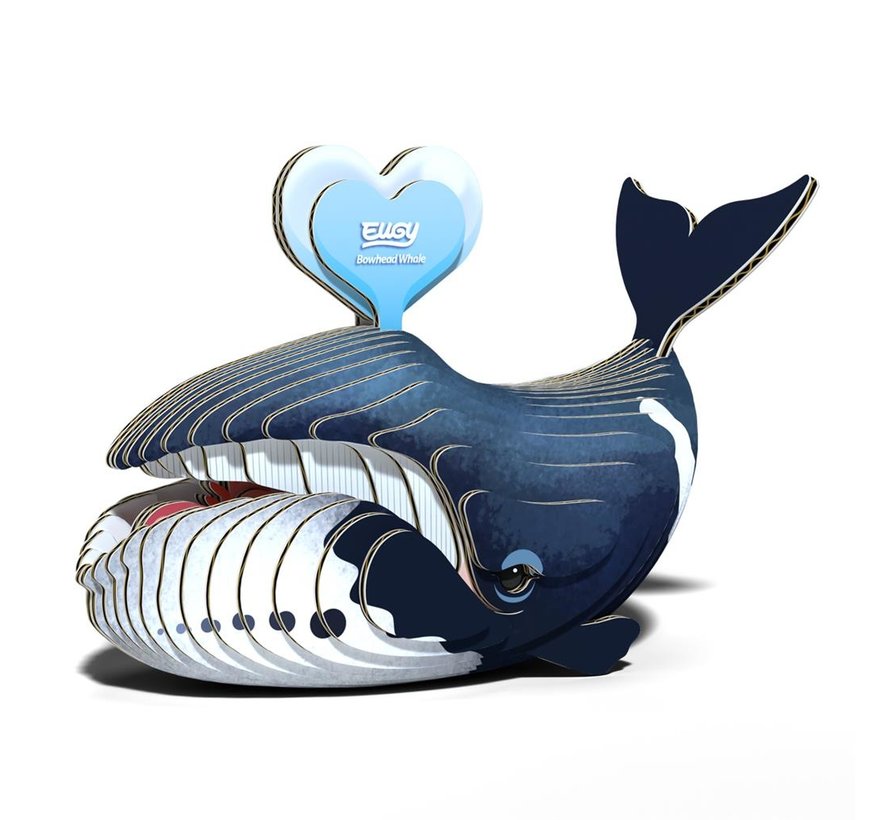 3D Carboard Model Bowhead Whale