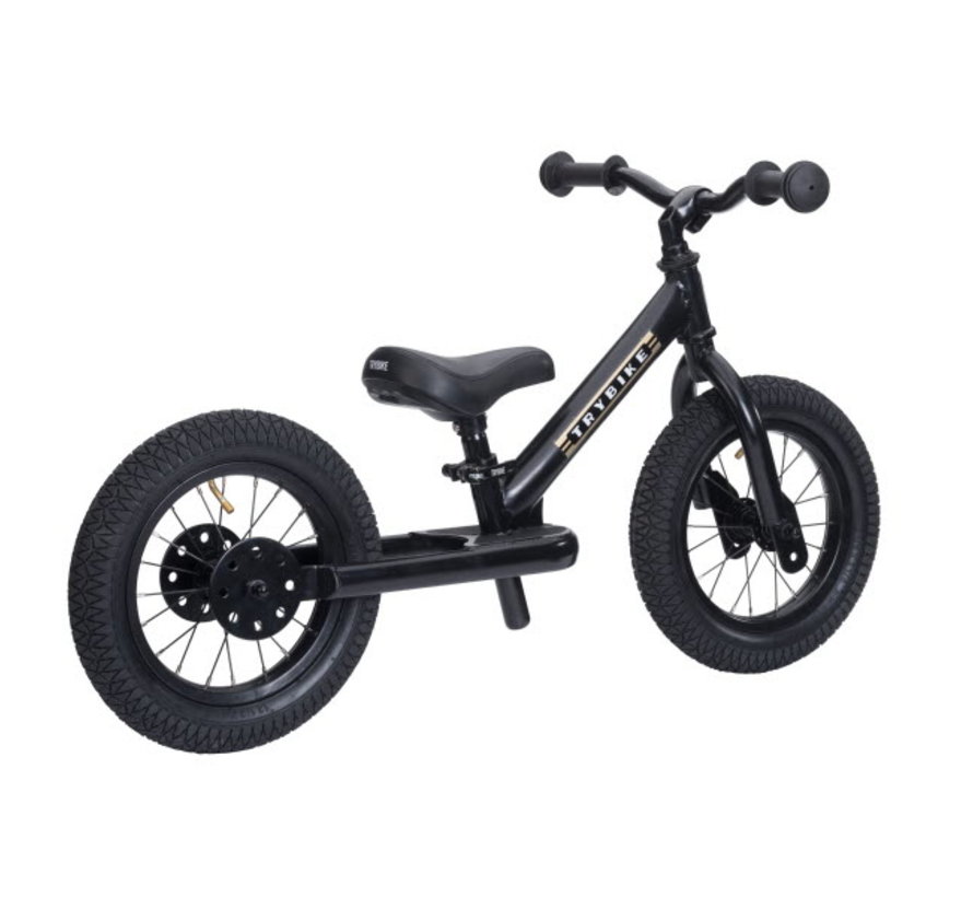 Bicycle Steel All Black 2-wheel