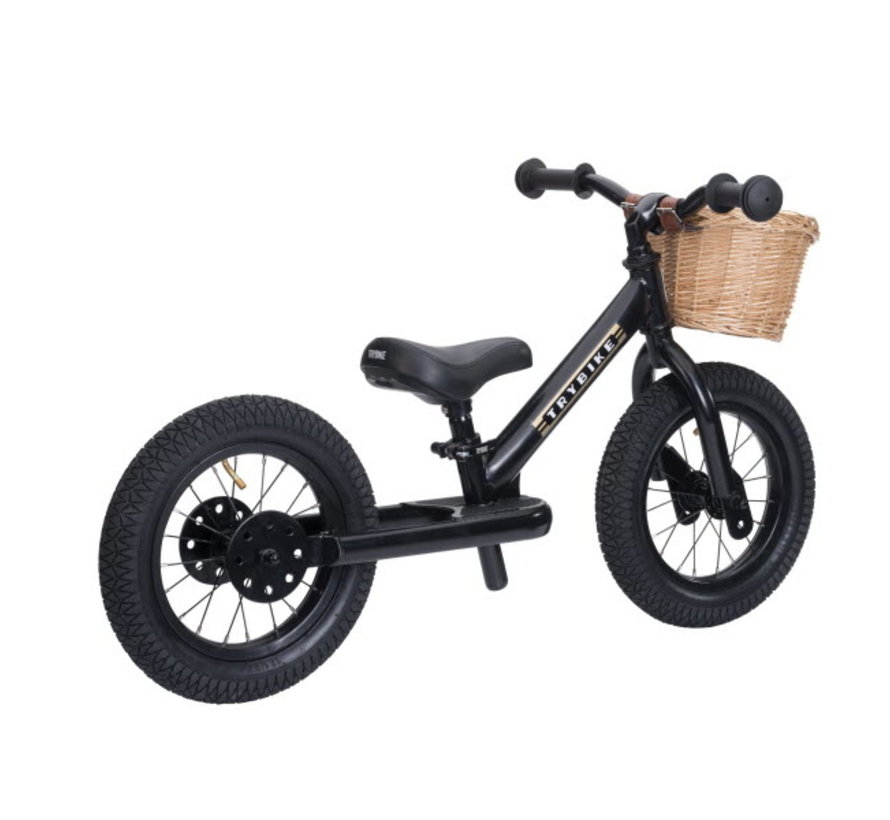 Bicycle Steel All Black 2-wheel