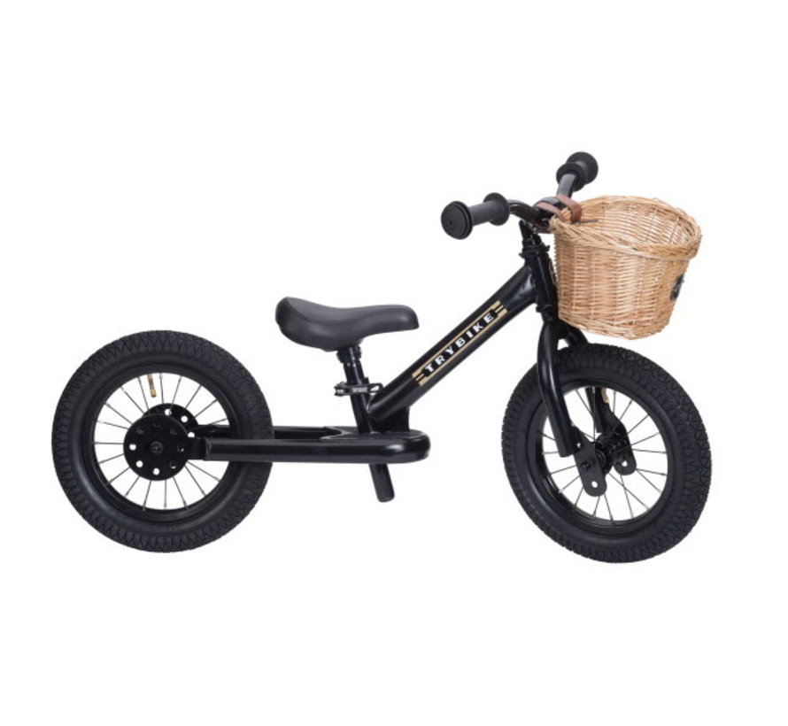 Bicycle Steel All Black 2-wheel