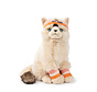 Dolly the Ragdoll - 32 cm - 12,5"