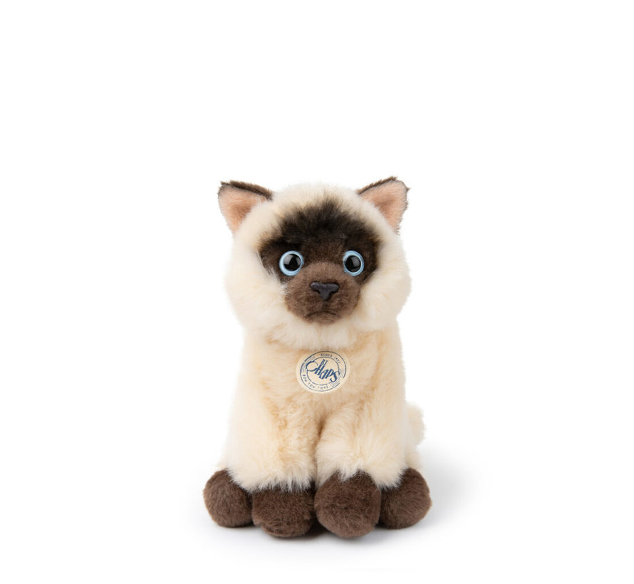 Eddie the Siamese in giftbox - 17 cm - 6,5"