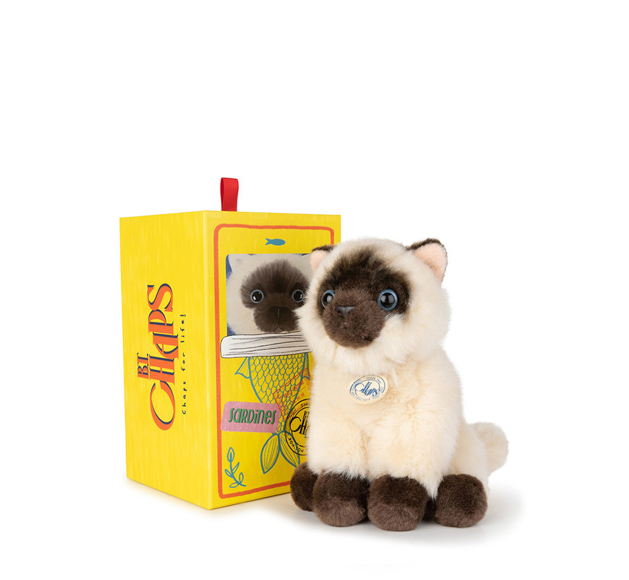 Eddie the Siamese in giftbox - 17 cm - 6,5"