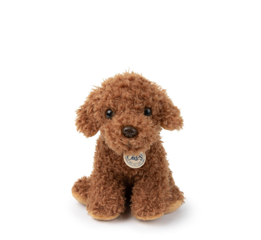 Stacy the Labdradoodle in giftbox - 17 cm - 6,5"