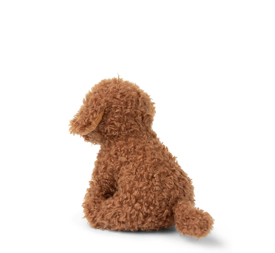 Stacy the Labdradoodle in giftbox - 17 cm - 6,5"