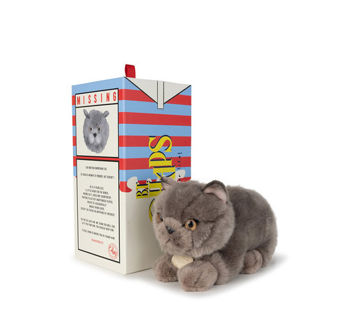 B.T. Chaps Freddy the British Shorthair in giftbox - 20 cm - 8"