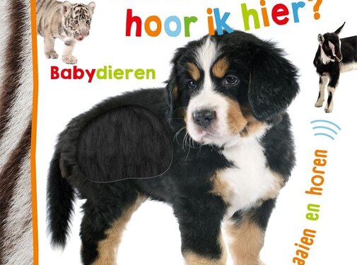 Veltman Uitgevers Welk dier hoor ik hier? Babydieren