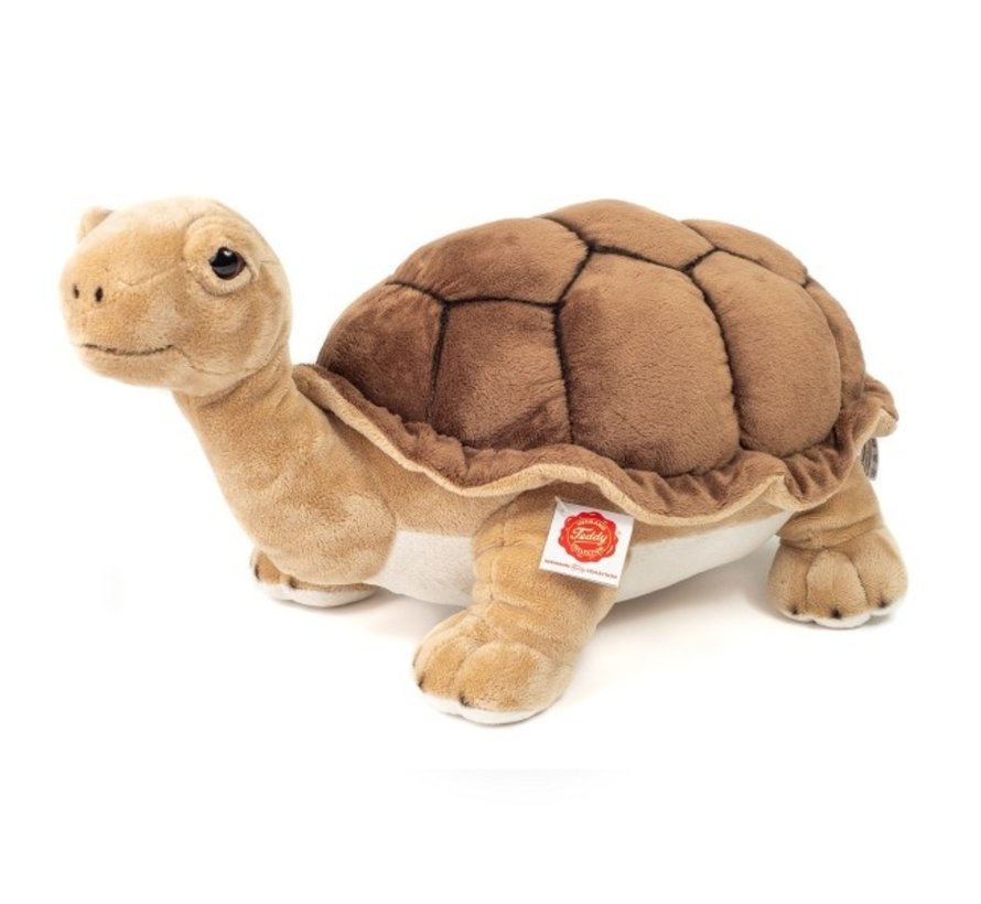 Stuffed Animal Giant Tortoise 50cm
