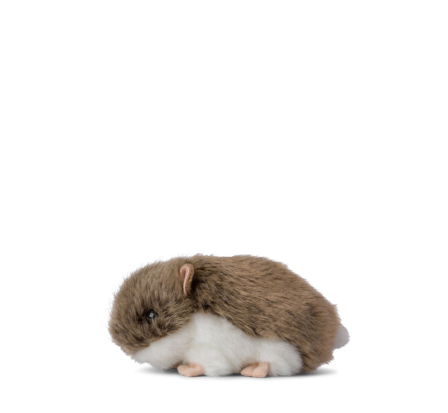 Hamster 7cm