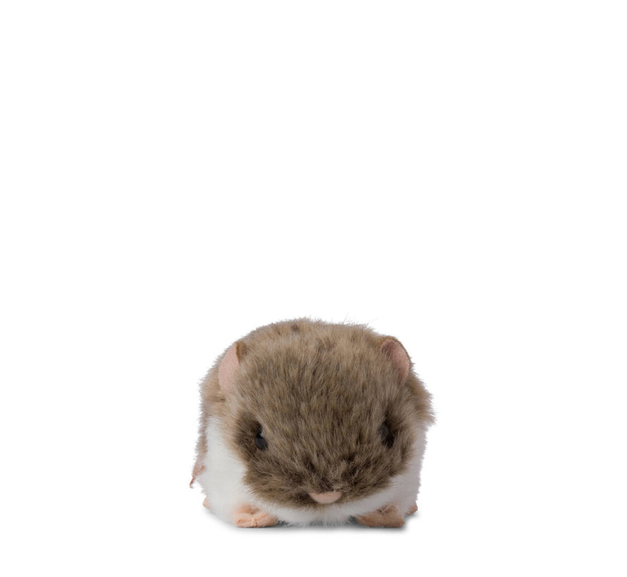 Hamster 7cm