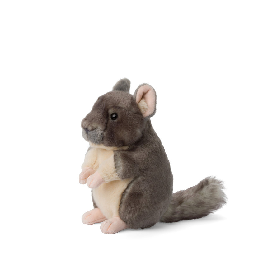 Chinchilla 17cm