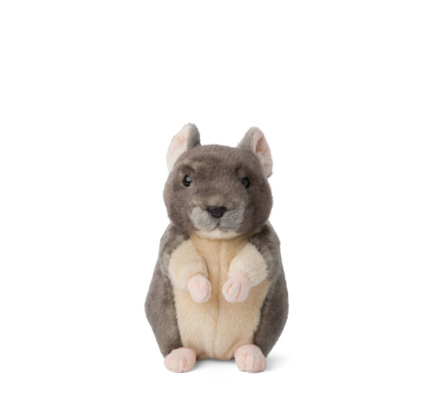 Chinchilla 17cm