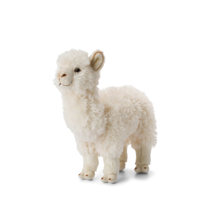 Alpaca White 31cm