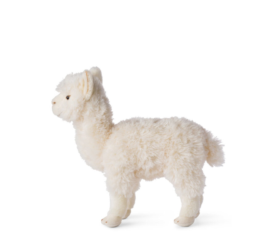 Alpaca White 31cm