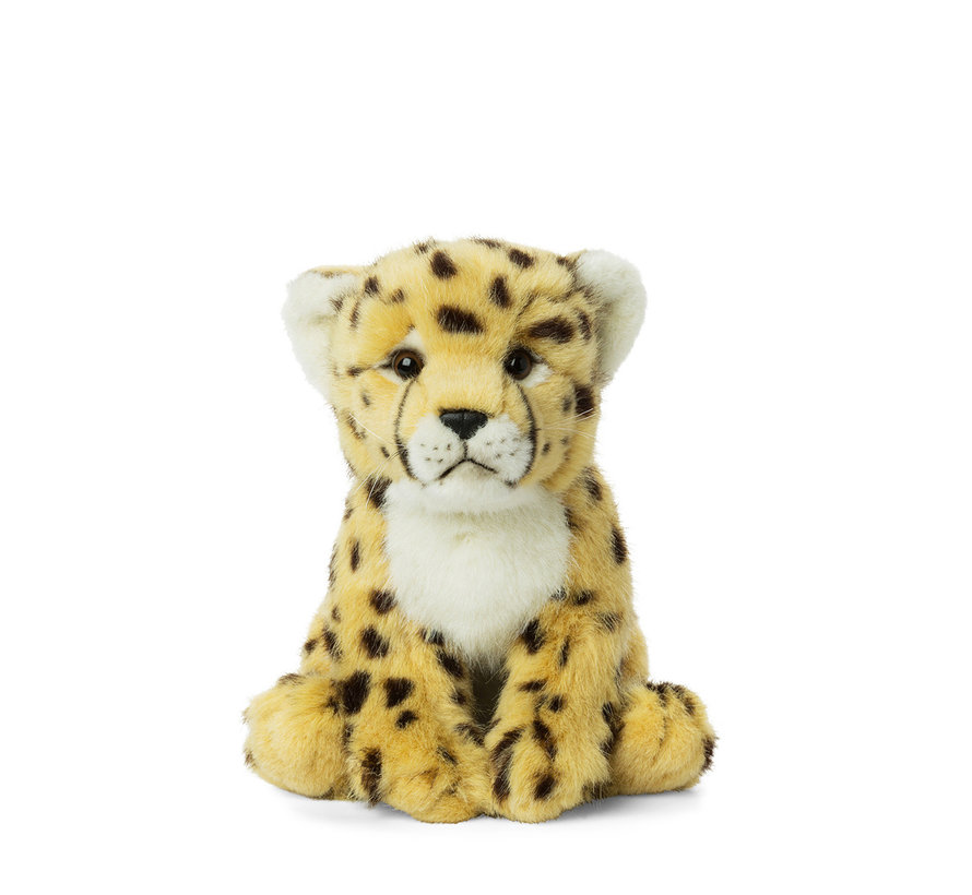 Cheetah 23cm