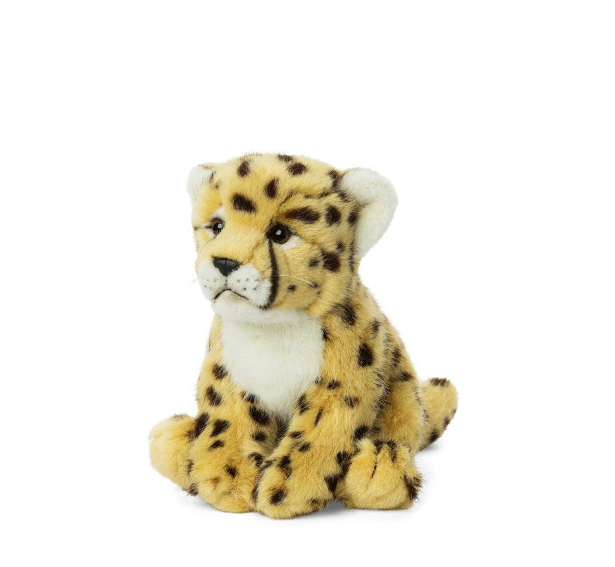 Cheetah 23cm